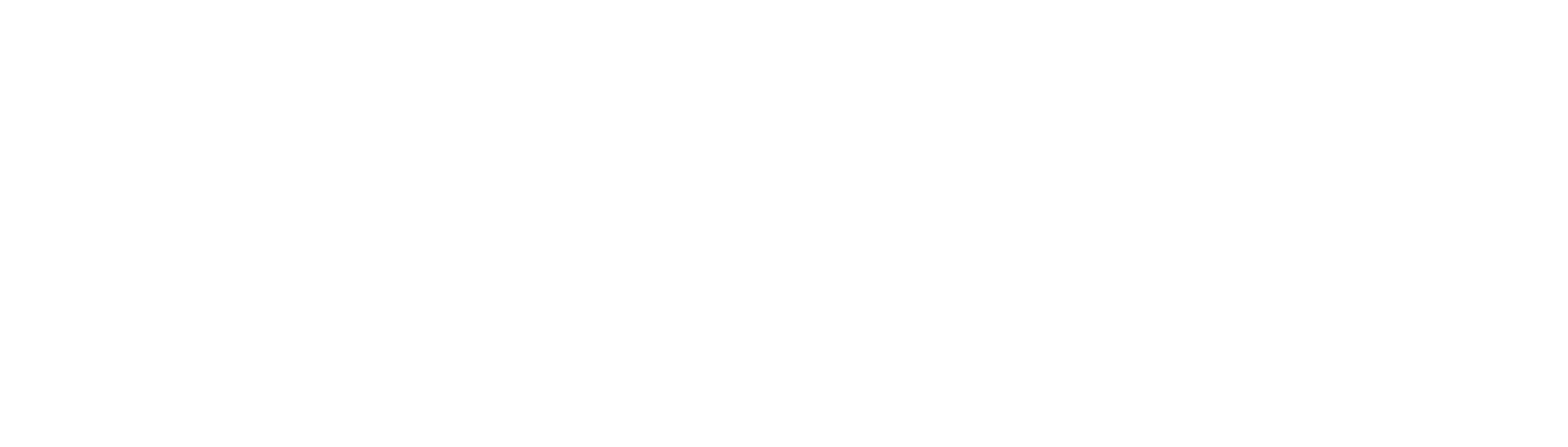 MeppelDanst